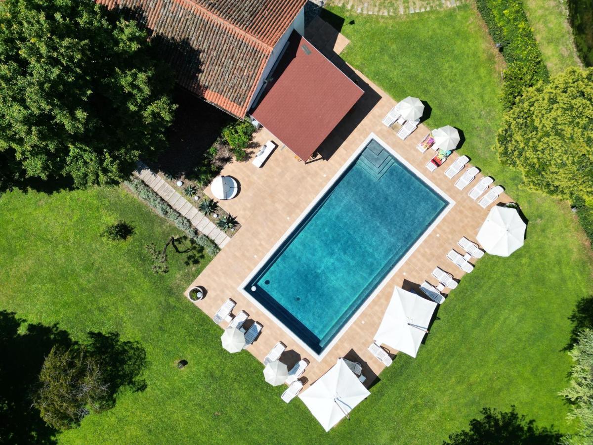 Villa Vitti'S - Verona Est Сан Мартино Буон Алберго Екстериор снимка